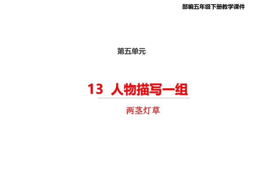 13人物描写一组 两茎灯草  课件（28张 )