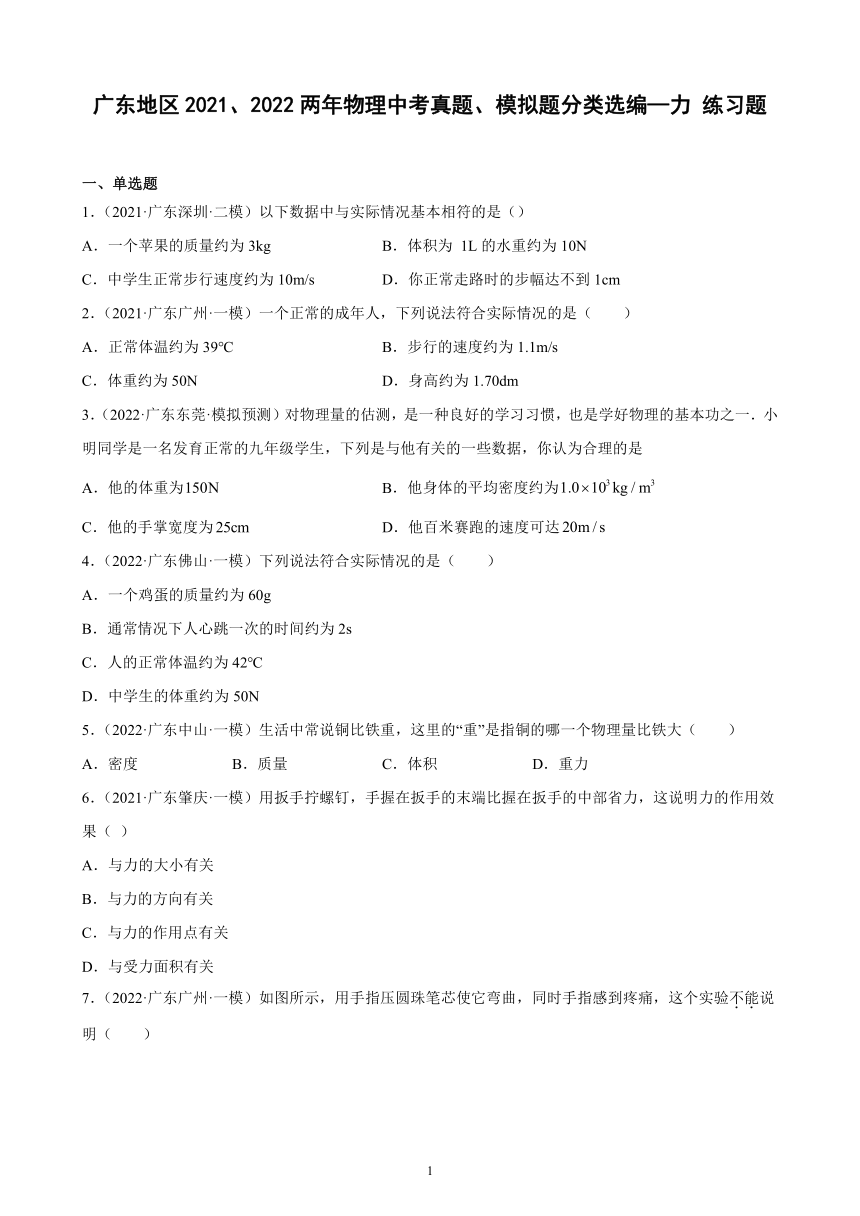 广东地区2021、2022两年物理中考真题、模拟题分类选编—力 练习题（含答案）