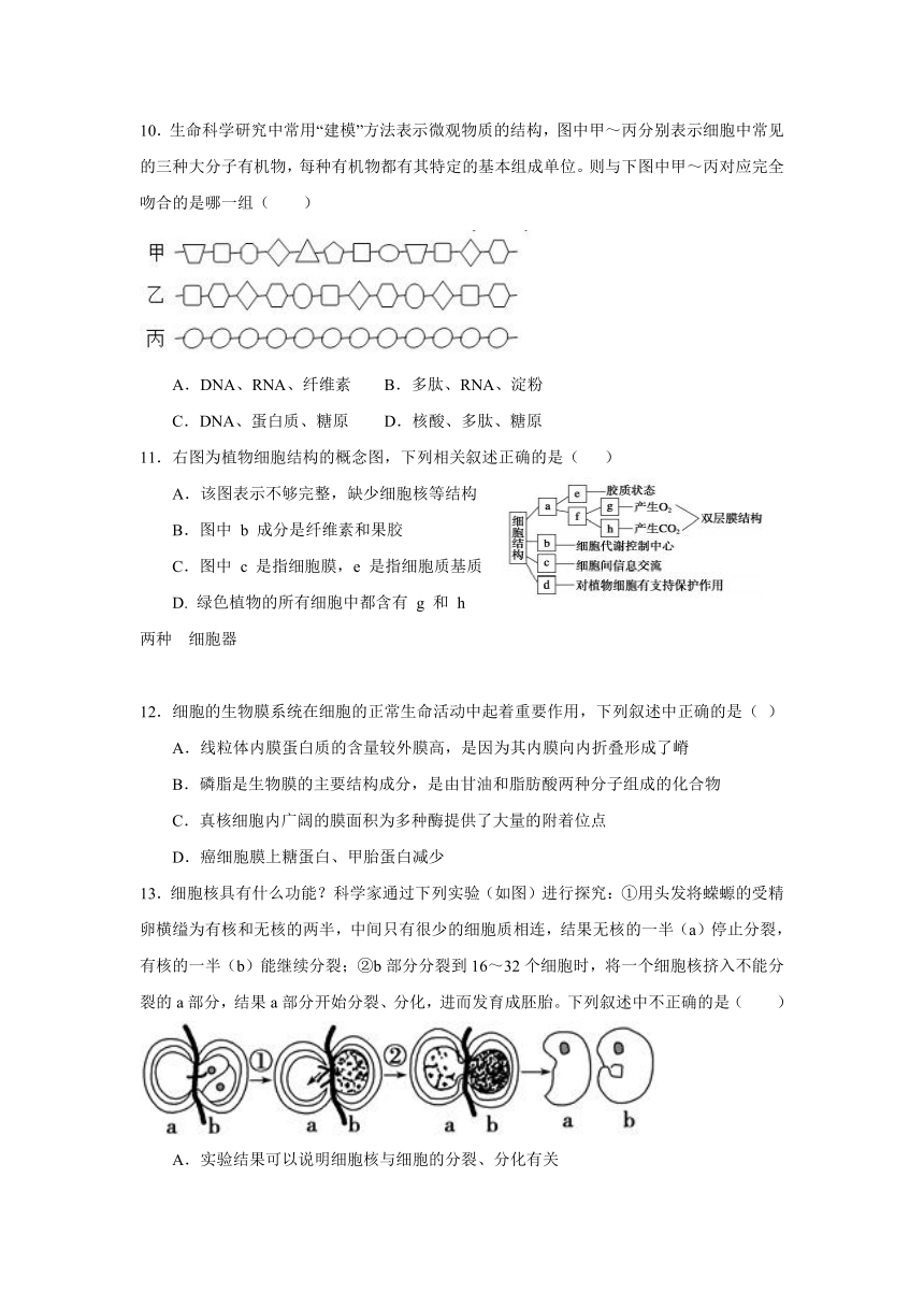 江西省宜春市奉新县第一中学2020-2021学年高一下学期3月第一次月考生物试卷 Word版含答案