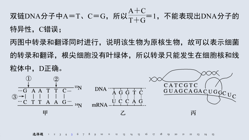 第1章 遗传信息的分子基础 习题课件（共65张PPT）
