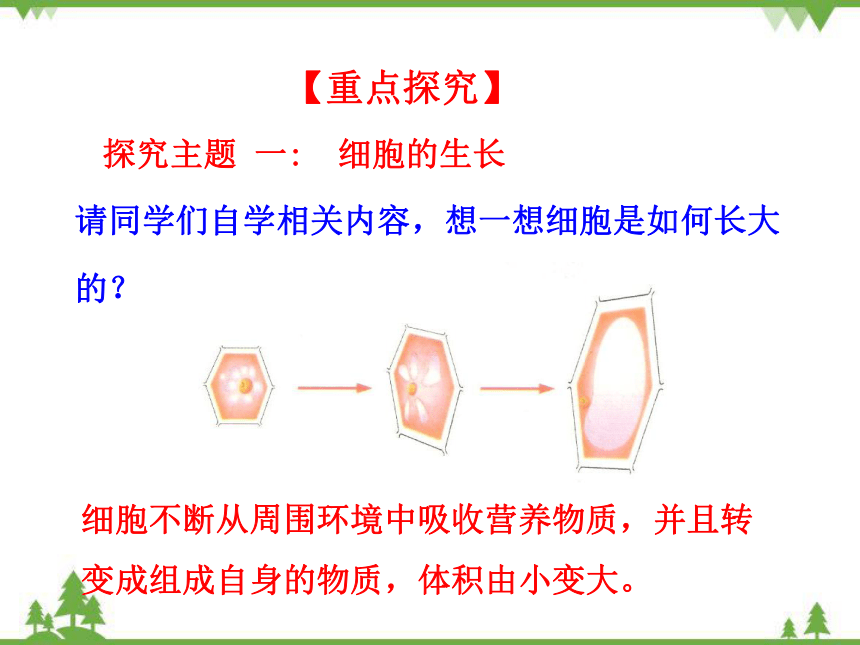 人教版生物七年级上册 第二单元第二章第一节 细胞通过分裂产生新细胞课件(共20张PPT)