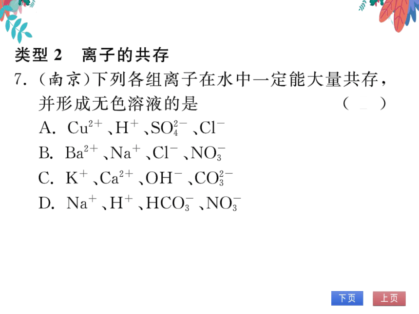 【人教版】化学九年级下册-第十一单元 专题四 物质的共存 (习题课件)