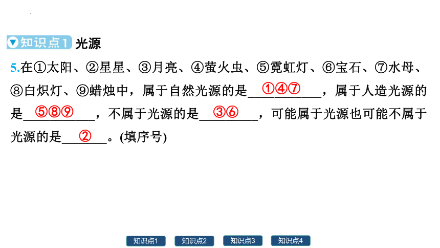 3.1  光世界巡行  习题课件 (共30张PPT) 沪粤版八年级上册