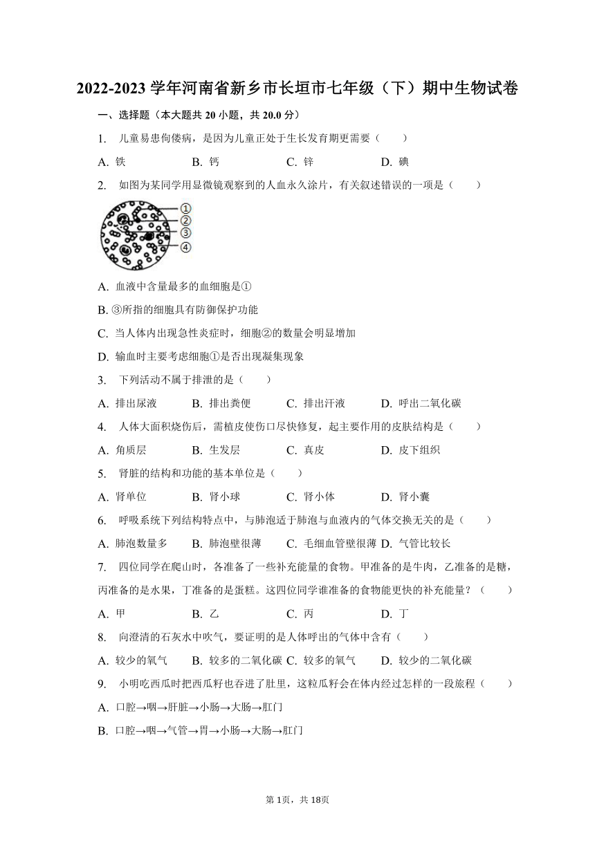 2022-2023学年河南省新乡市长垣市七年级（下）期中生物试卷（含解析）