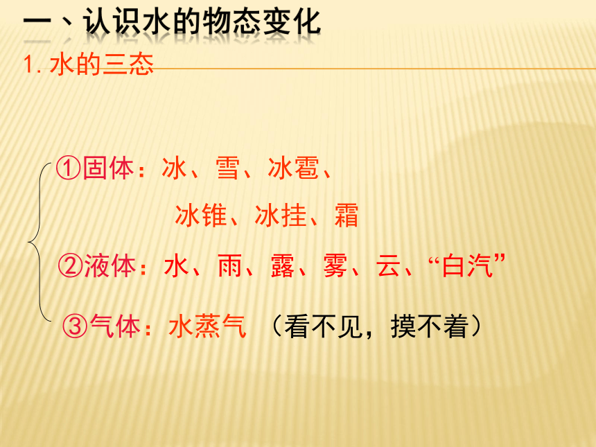 5.1 物态变化与温度 课件 2022-2023学年教科版八年级物理上册(共29张PPT)