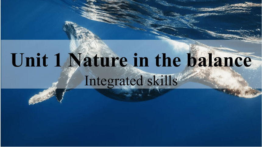 译林版（2020）必修第三册：Unit 1 Nature in the Balance Integrated skills课件（15张）