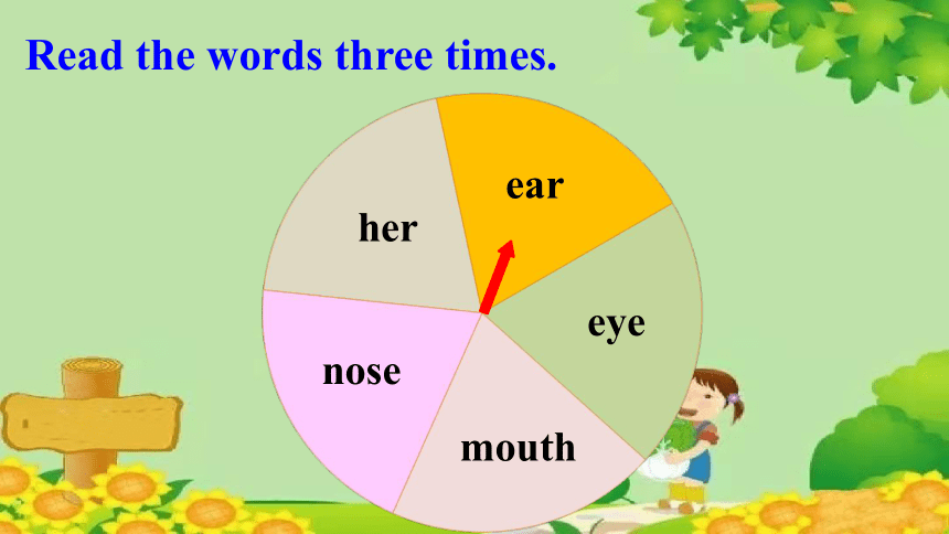 Module 10 Unit 2 Point to her nose 课件（共31张PPT，内嵌音频）