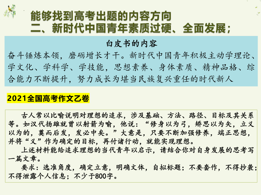 2023届高考作文复习： 青年白皮书与高考作文  课件(共27张PPT)