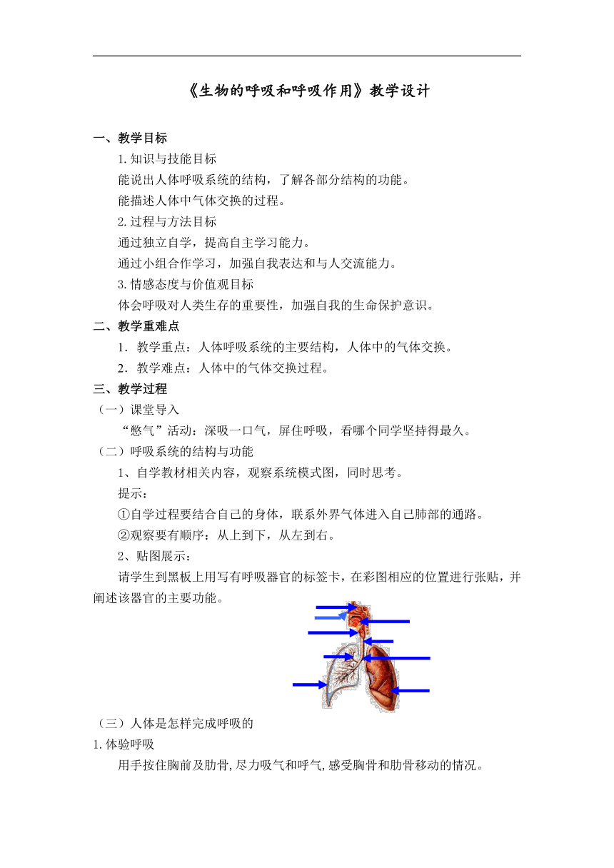 3.5 生物的呼吸和呼吸作用 教案