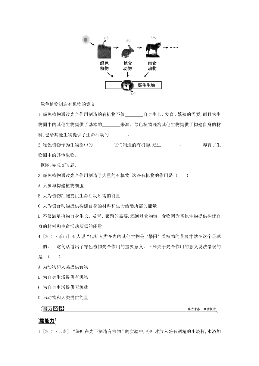 人教版生物学七年级上册同步练习：3.4绿色植物是生物圈中有机物的制造者(word版含答案）