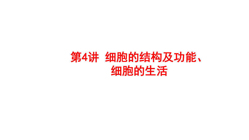 2024中考一轮复习：第4讲 细胞的结构及功能、细胞的生活课件(共38张PPT)