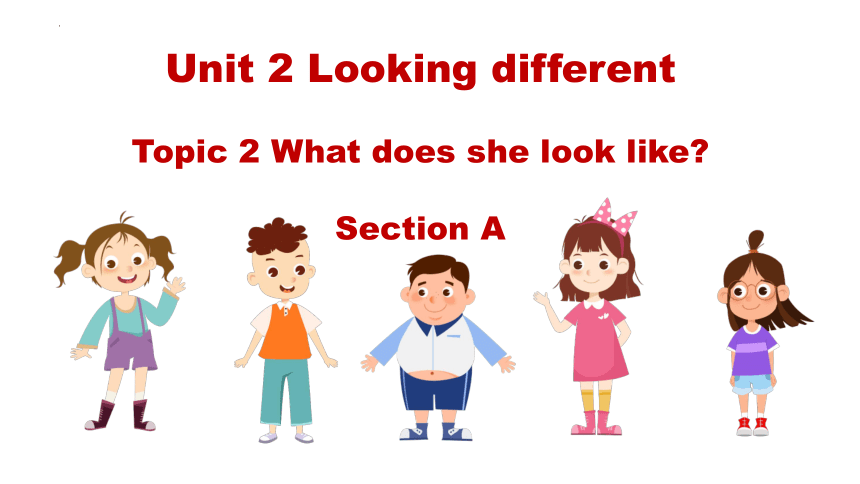 Unit 2 topic 2 What does she look like?Section A 课件(共31张PPT)