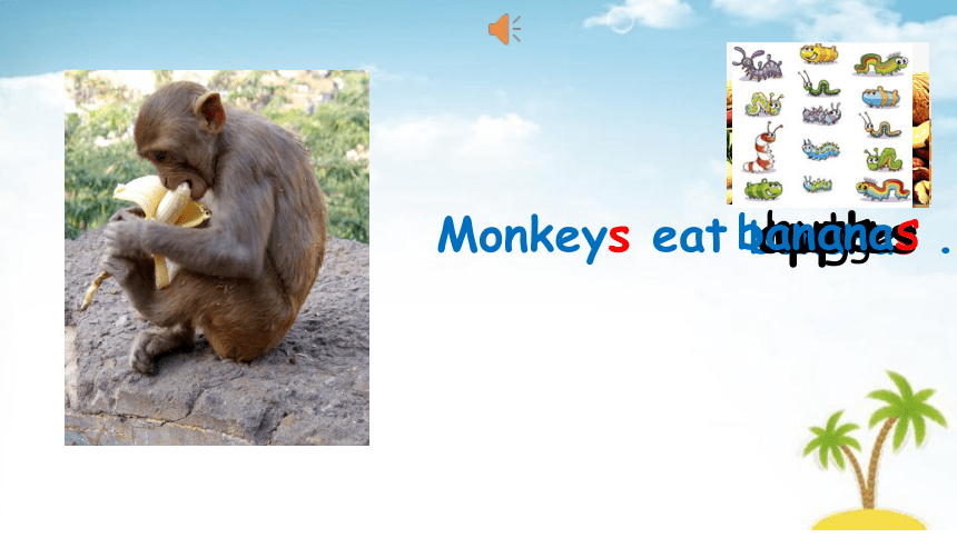 Unit 2  Animals at the Zoo Lesson 11 What Do They Eat? 课件(共45张PPT)