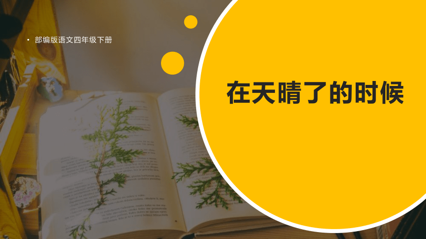 12.在天晴了的时候  课件(共41张PPT)