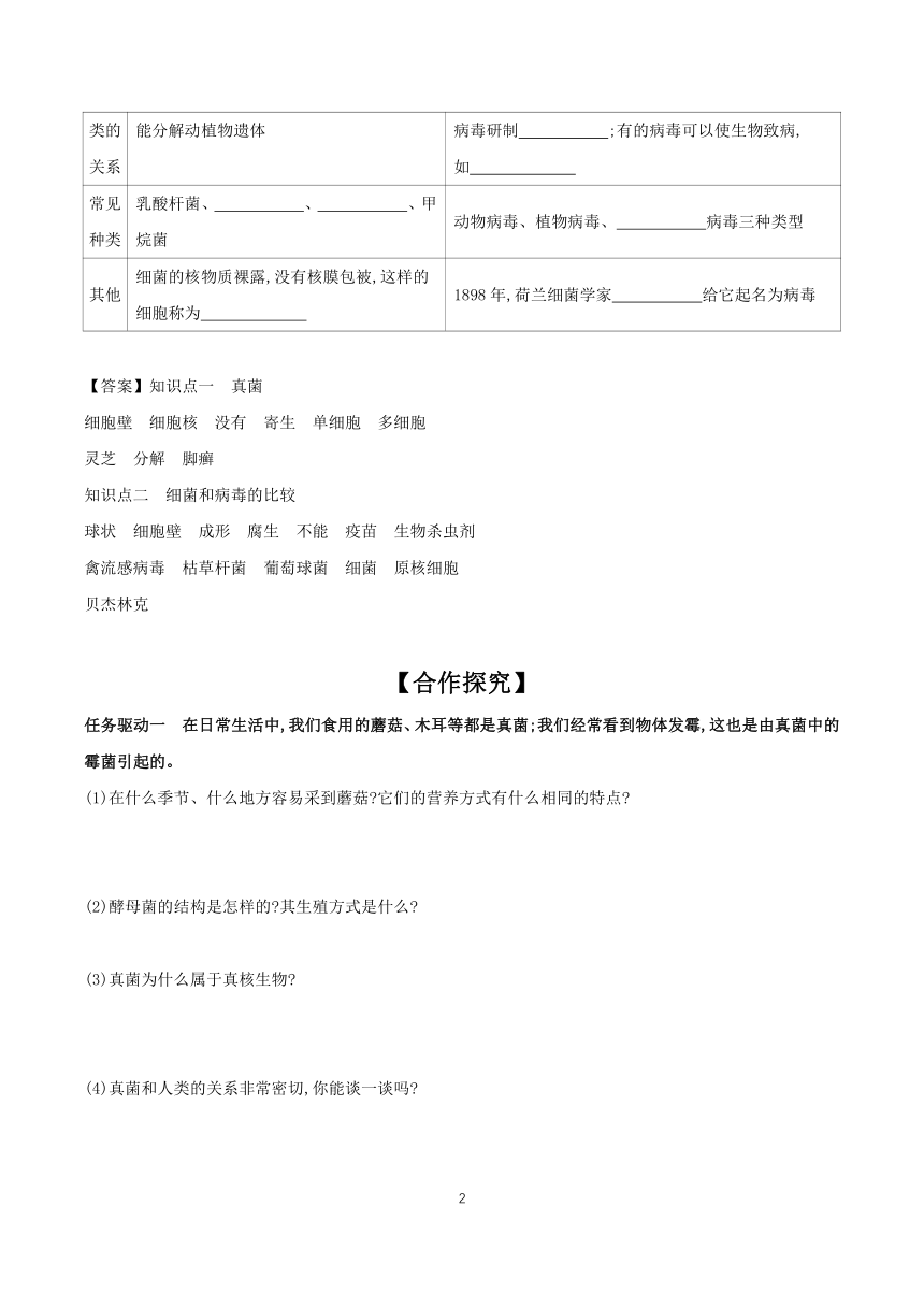 5.14.3 神奇的微生物 学案（含答案）2023-2024学年生物苏教版八年级上册