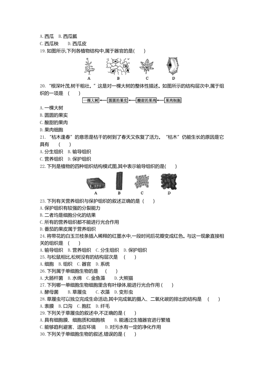 人教版生物七年级上册阶段综合练习：第二单元第二章过关测试卷(word版含答案）