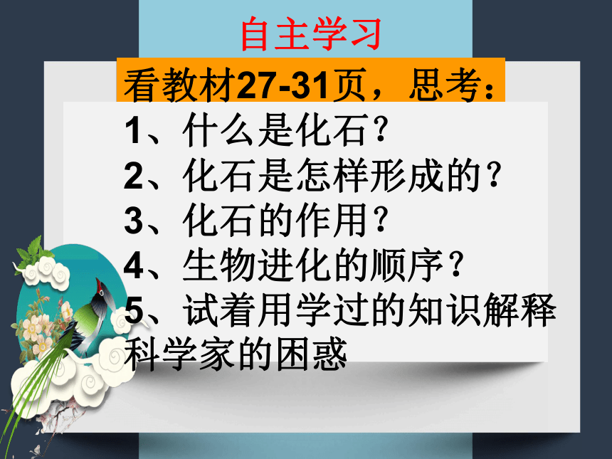 苏教版-六年级科学下册3.2化石告诉我们什么（课件29ppt）