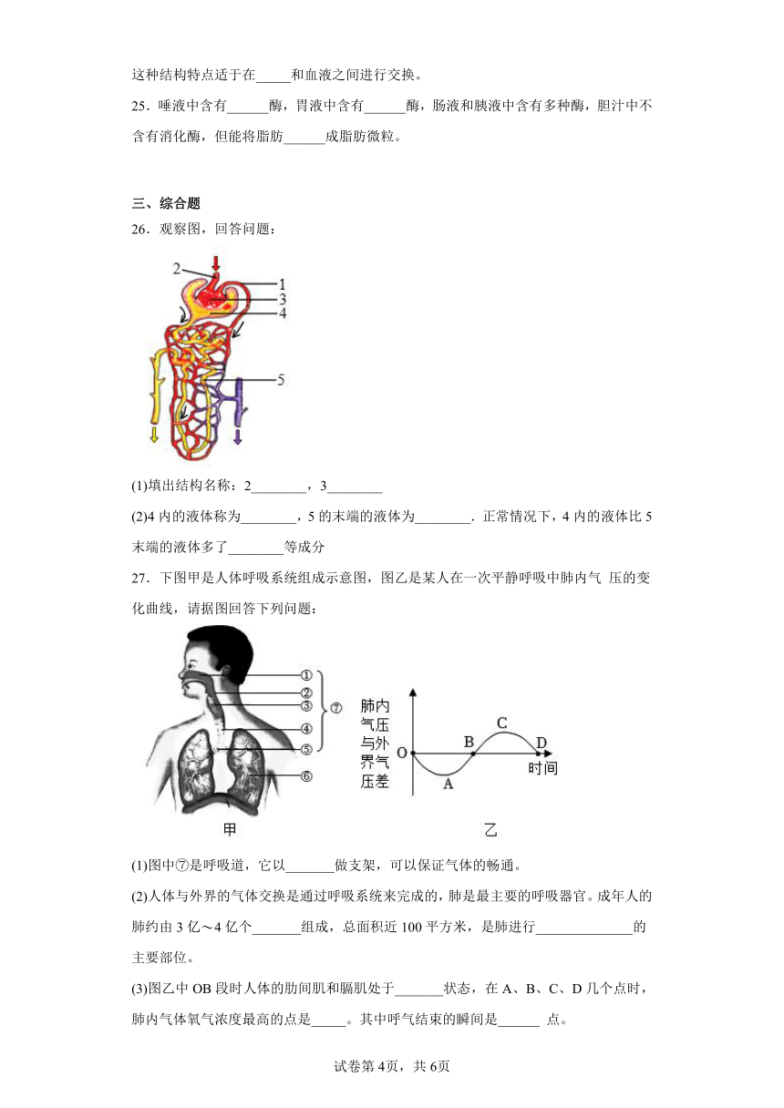 济南版生物七年级下册期末检测夯实基础强化训练试题5（含解析）