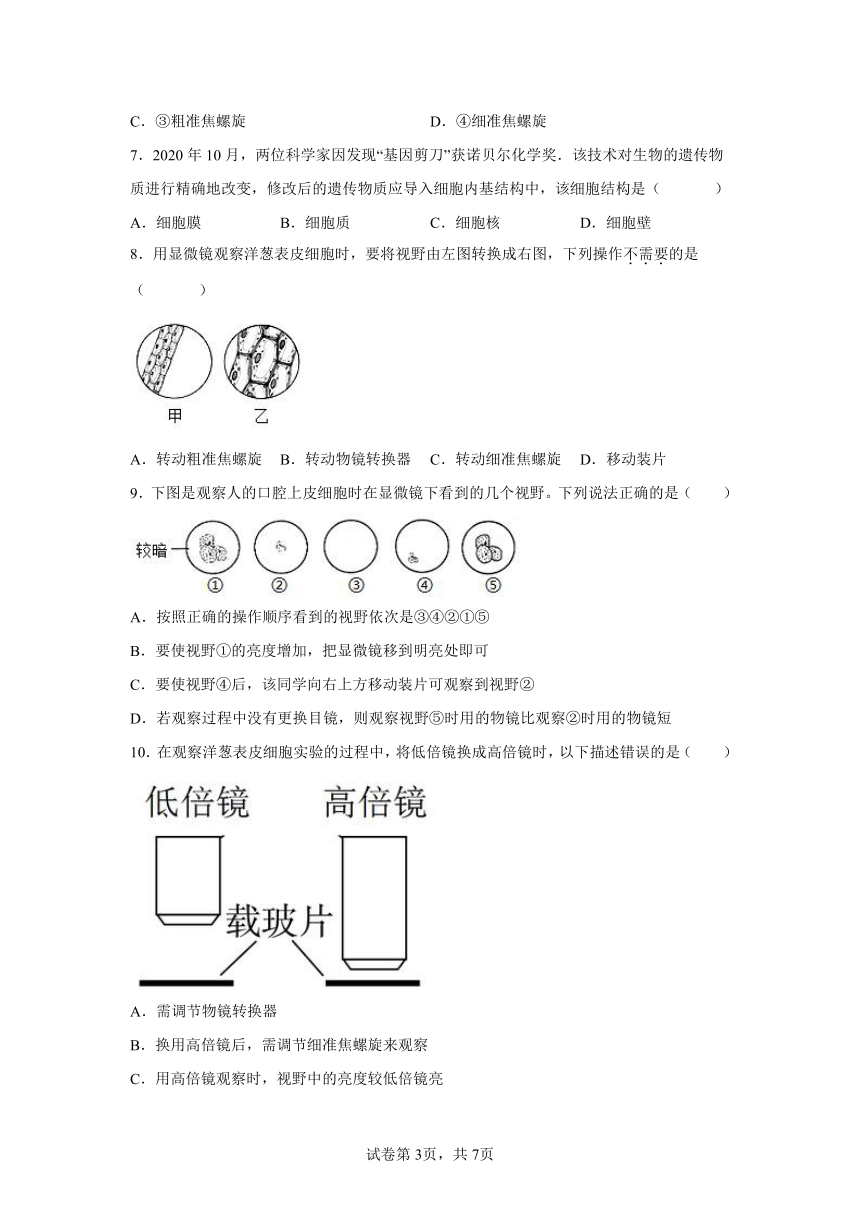 2.2 细胞 同步练习题（含解析）