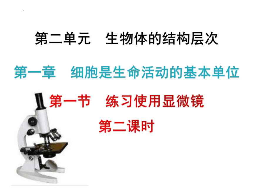 2022-2023学年人教版生物七年级上册2.1.1练习使用显微镜（课时2）课件(共17张PPT)