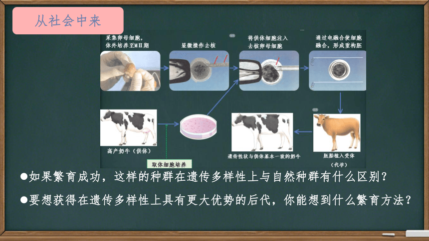 2.3.1胚胎工程课件-(共19张PPT3份视频)人教版（2019）选择性必修3