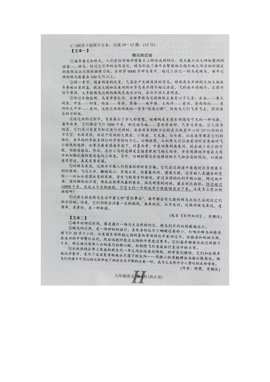 河南省南阳市唐河县2023-2024学年第二学期八年级期中语文试题（图片版，有答案）