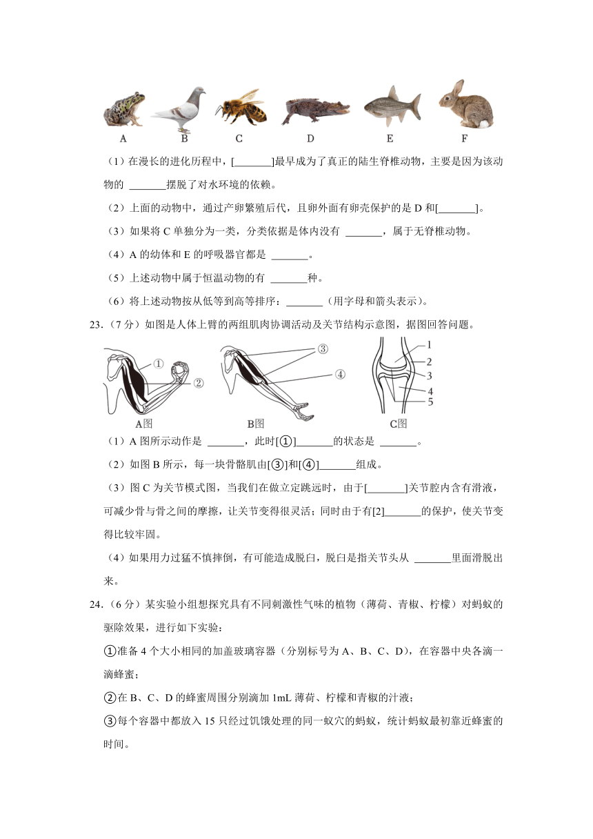 吉林省吉林二十三中2022-2023学年八年级上学期期中生物试卷（含解析）