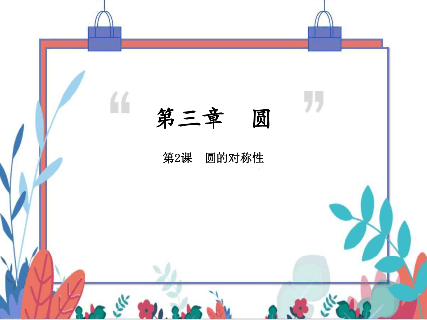 【北师大版】数学九年级（下）3.2 圆的对称性 习题课件