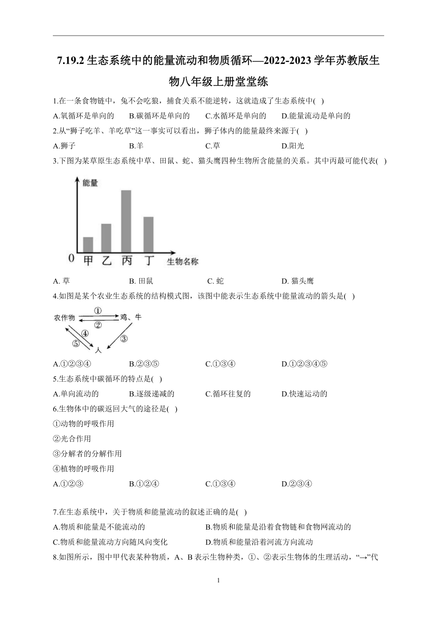 2022-2023学年苏教版生物八年级上册 7.19.2生态系统中的能量流动和物质循环  堂堂练  (word版  含答案）