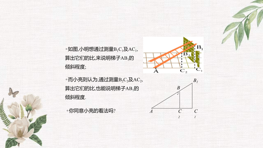 2.1 锐角三角函数 课件（共19张PPT）
