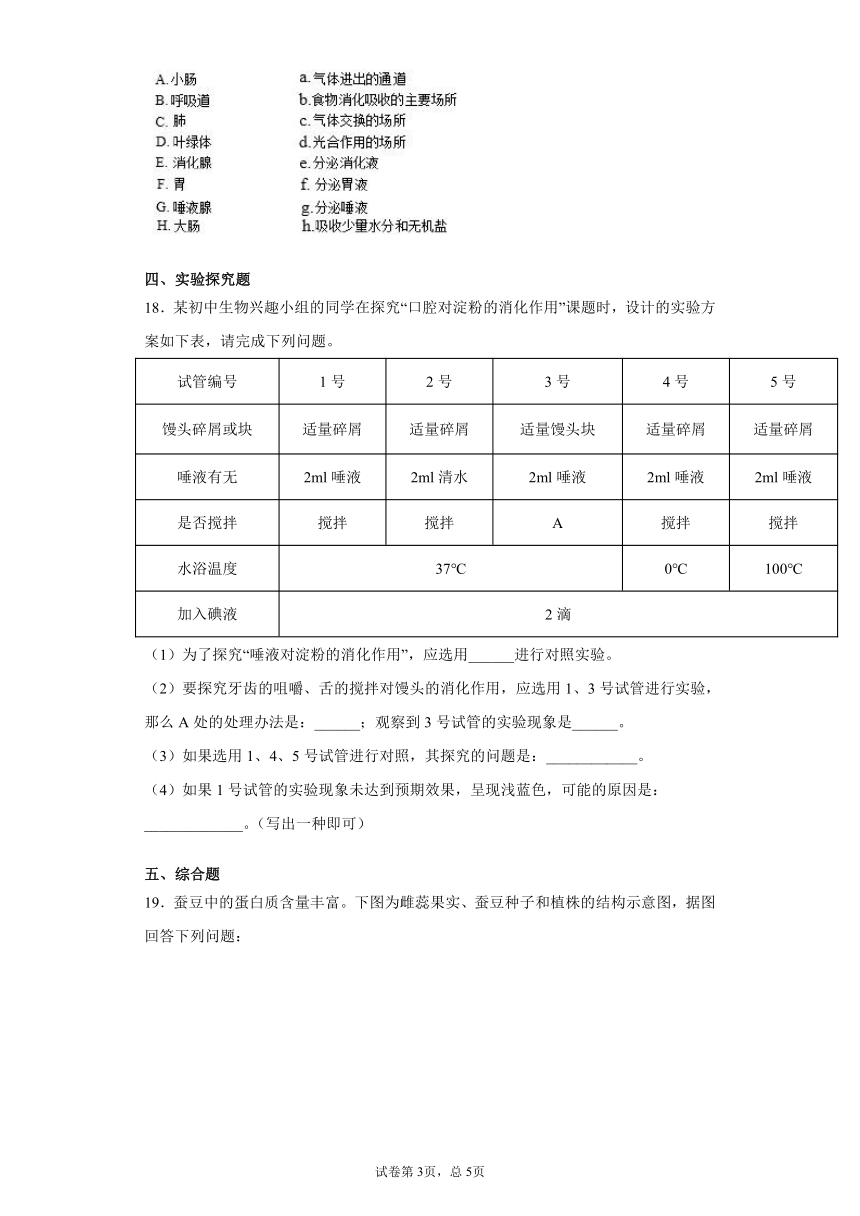 2020-2021学年 北师大版七年级下册第八章人体的营养测试卷（Word版 含答案）