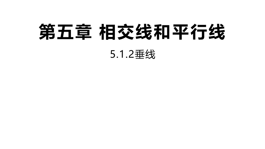 华师大版数学七年级上册5.1.2垂线 同步课件(共19张PPT)