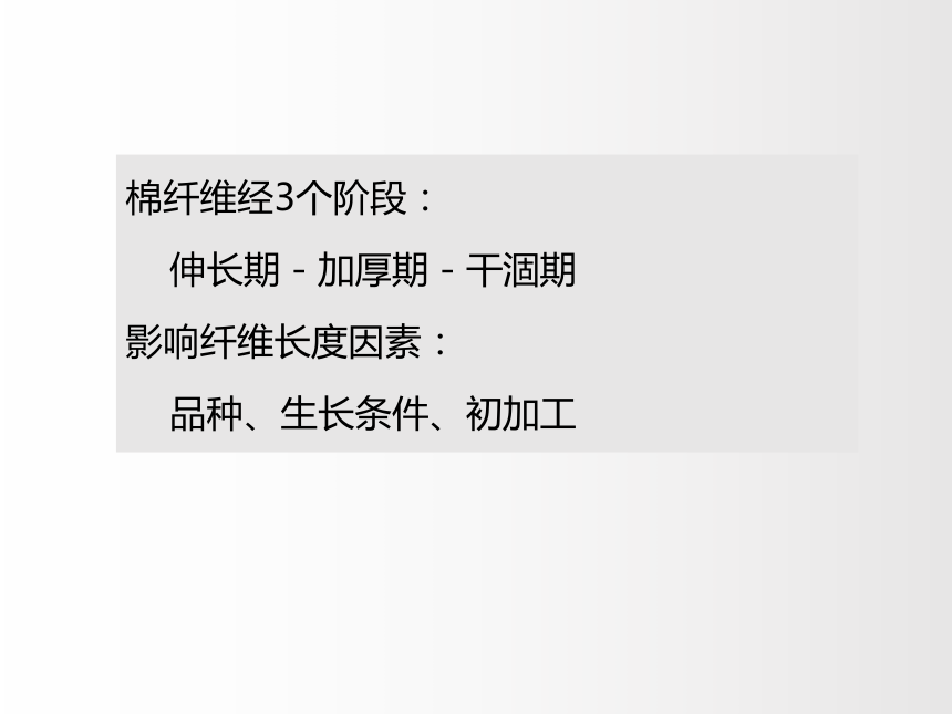 2.1服装用纤维-棉和麻 课件(共55张PPT)-《服装材料》同步教学（中国纺织出版社）