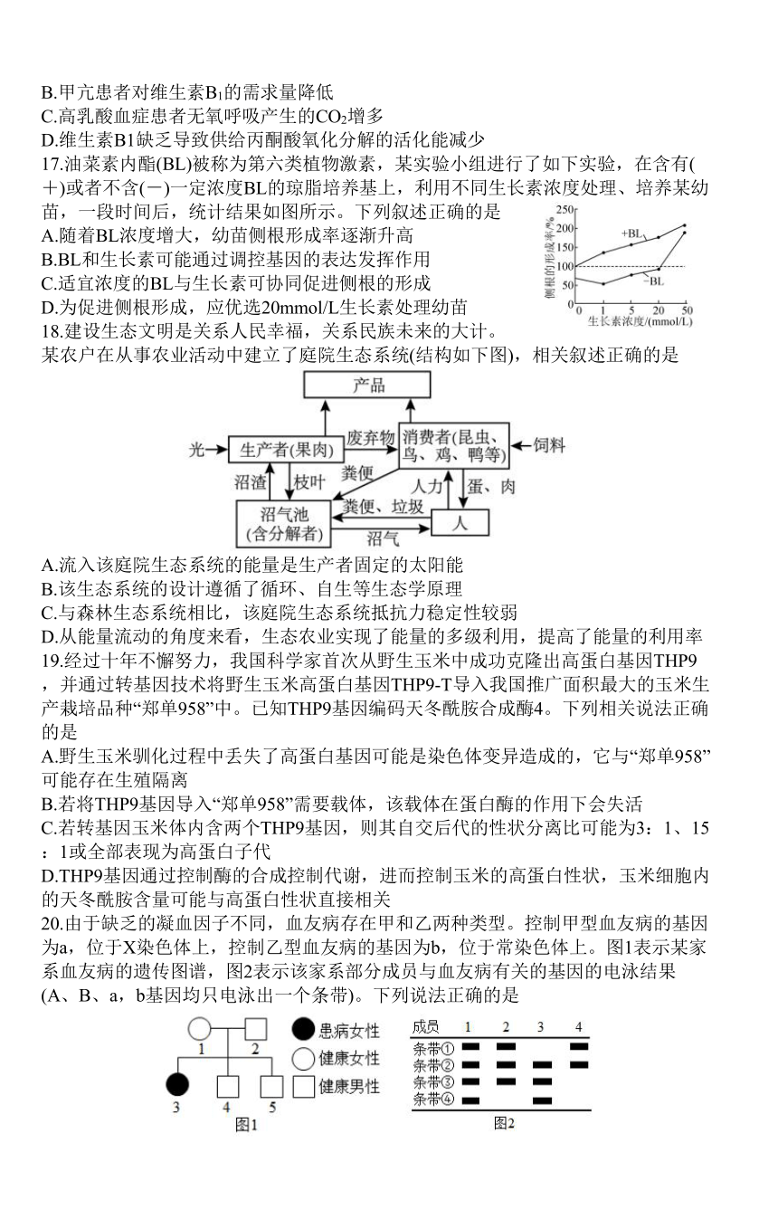 2023届辽宁省葫芦岛市普通高中高三下学期第二次模拟考试生物学试题（Word版含答案）