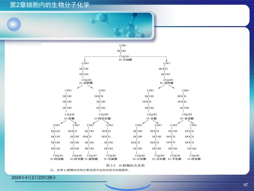 2.2糖类化学 课件(共46张PPT)- 《环境生物化学》同步教学（机工版·2020）