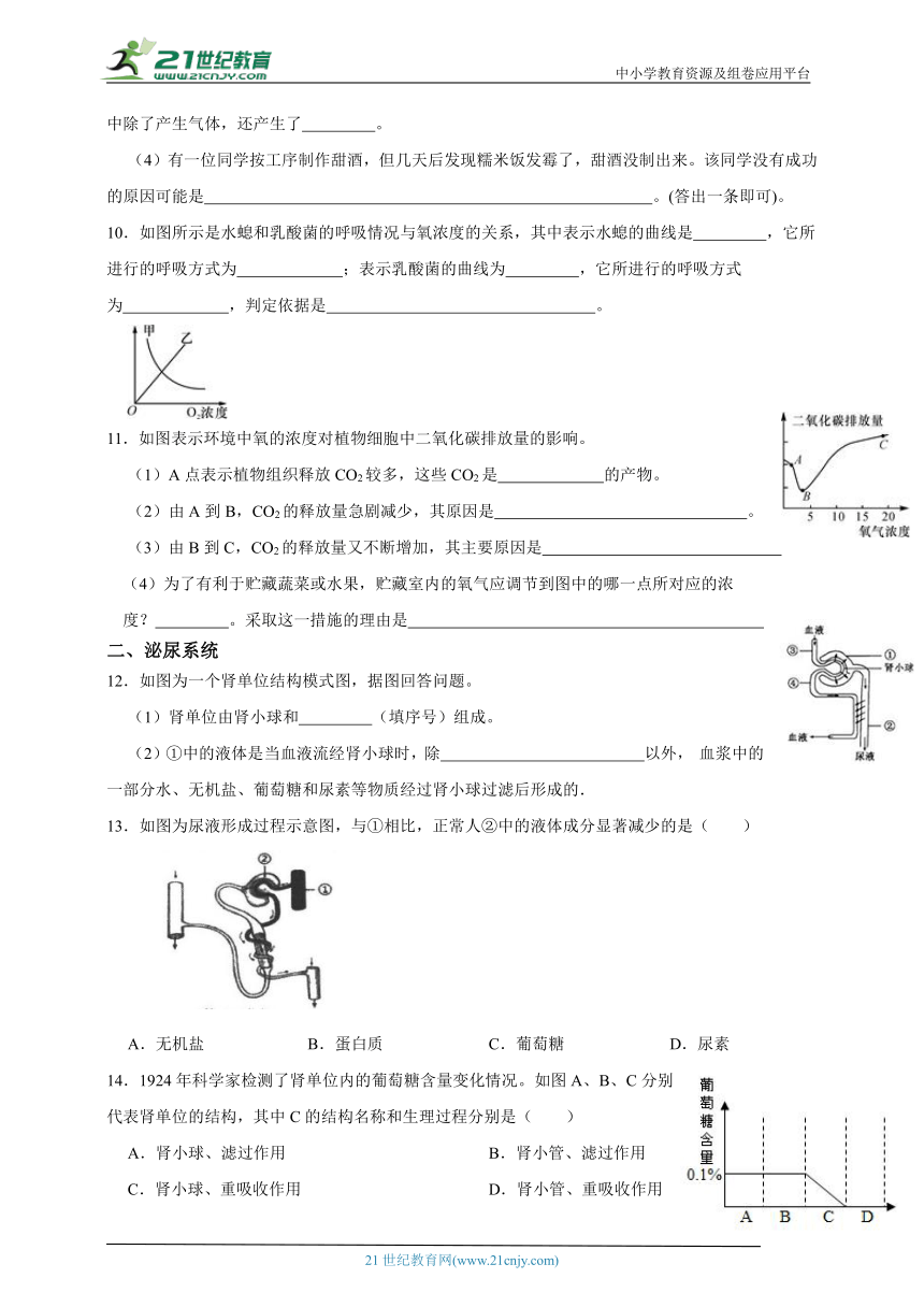 浙教版九上第四章专题二十三、能量获得及体内物质的动态平衡（含解析）