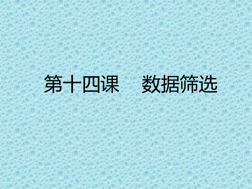 冀教版七年级全册信息技术 14.数据筛选 课件（14ppt）