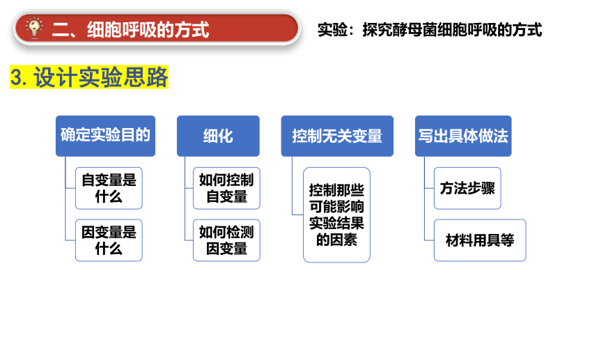 5.3细胞呼吸的原理和应用（第1课时）(课件共18张PPT)