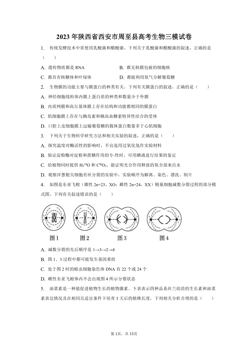 2023年陕西省西安市周至县高考生物三模试卷（含解析）