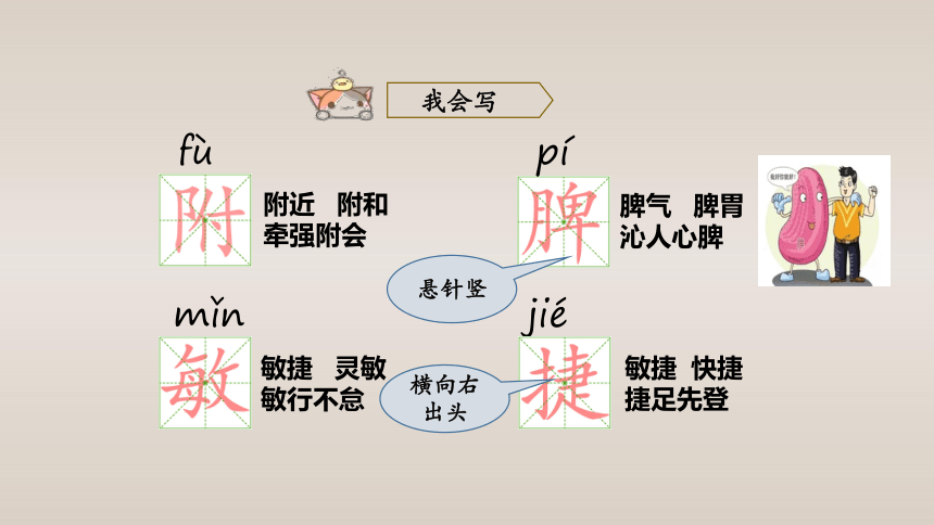 15.白鹅   课件（34张PPT)