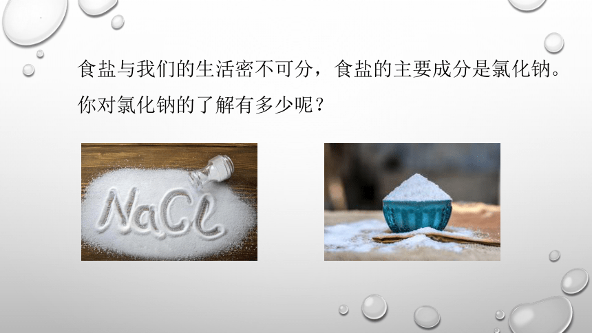 第十一单元课题1 生活中常见的盐（一）课件(共38张PPT)-2023-2024年九年级化学人教版下册