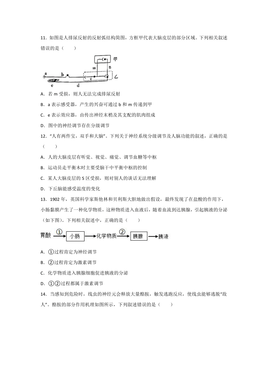 辽宁省葫芦岛市兴城中学2021-2022学年高二上学期10月月考生物试卷（Word版含答案）