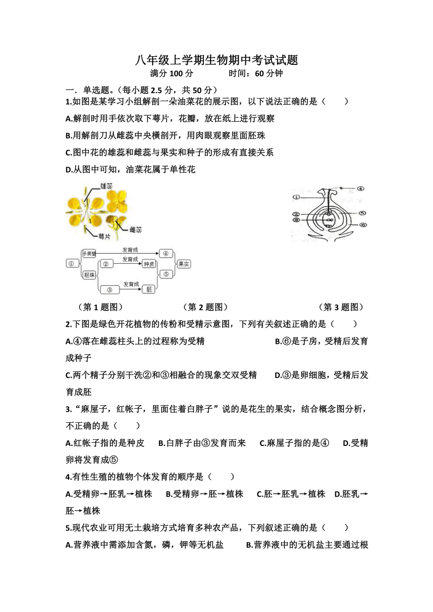 山东省济南市天桥区2022-2023学年八年级上册上学期期中统一考试生物试题(含答案)