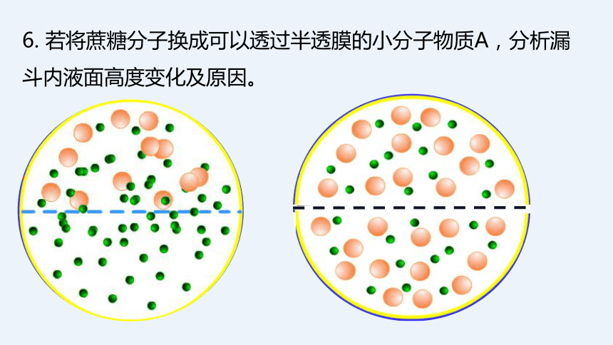 2021—2022学年 高一上学期 人教版（2019）必修1    4.1 被动运输   课件（33张）