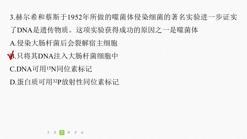 高考生物选择题提速练：(4)遗传的分子基础（课件版共31张PPT)