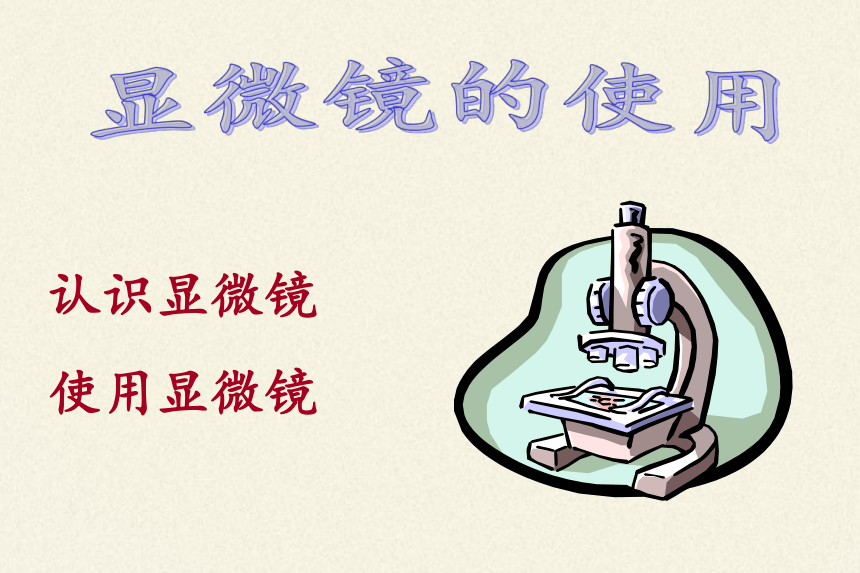 人教版七年级上册生物课件2.1.1练习使用显微镜-课件（43张PPT）