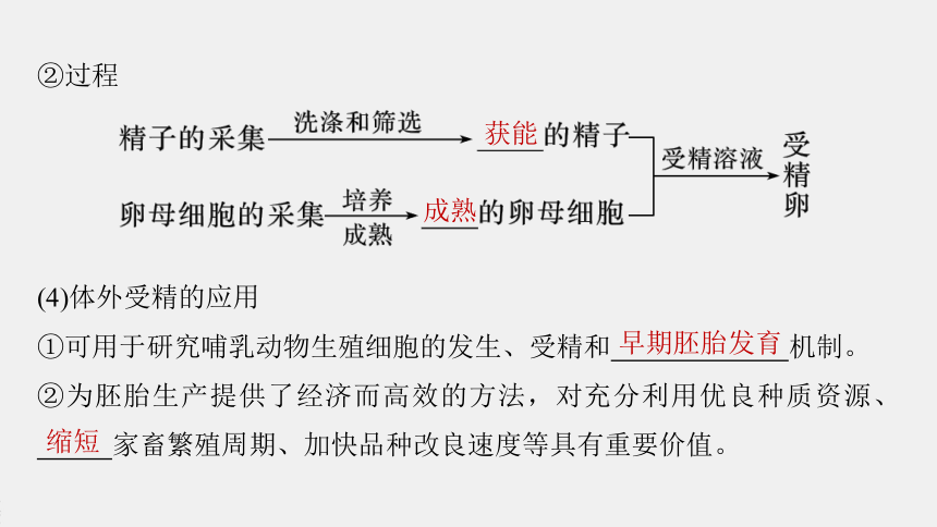 高中生物苏教版（2019）选择性必修3 生物技术与工程 第二章 第四节　第2课时　体外受精技术和胚胎移植、胚胎分割技术（72张PPT）