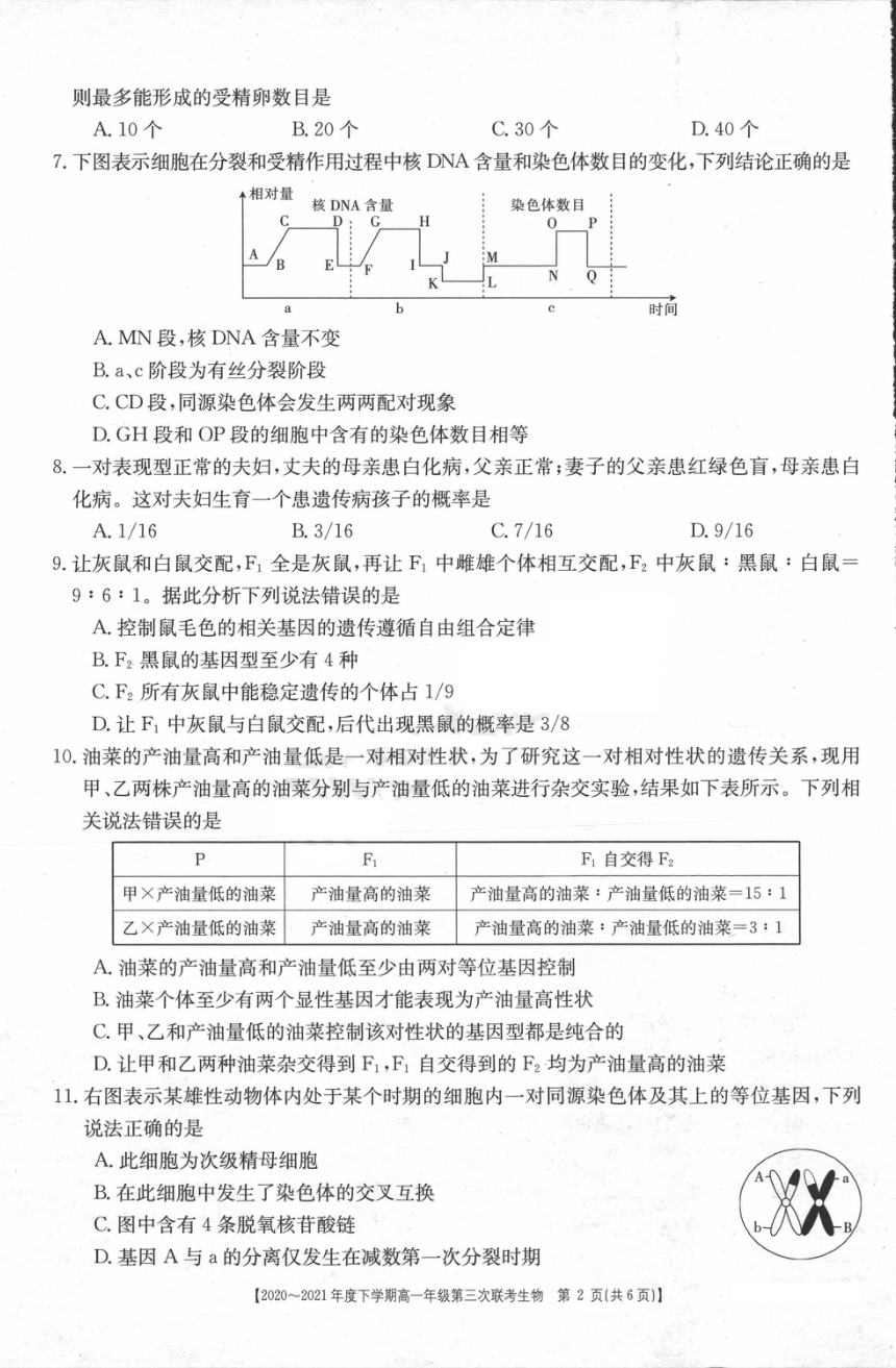 河南省2020-2021学年高一下学期第三次联考（6月）生物试题 扫描版含答案