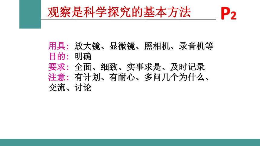 1.1.1生物的特征 课件 2021-2022学年人教版生物七年级上册（34张PPT）