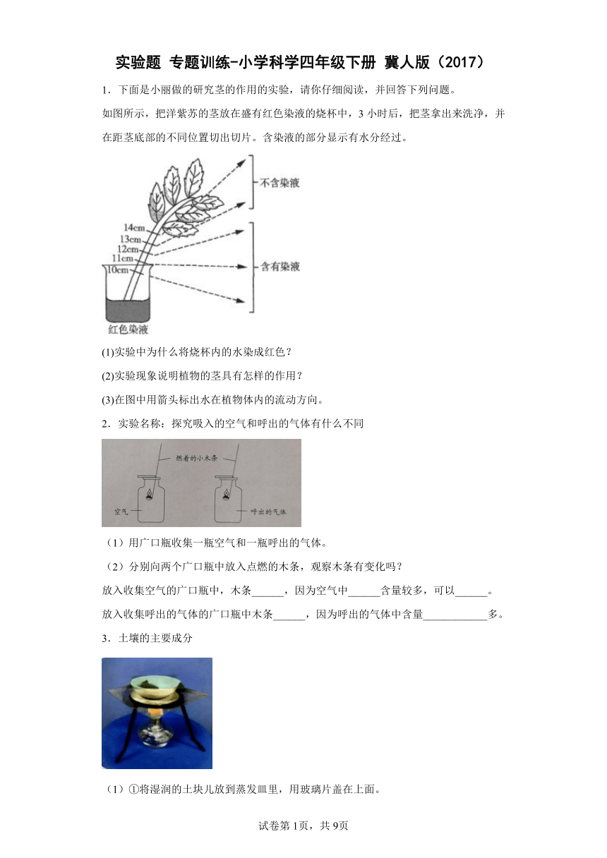 小学科学  冀人版（2017秋）  四年级下册  实验题 专题训练 （含答案）